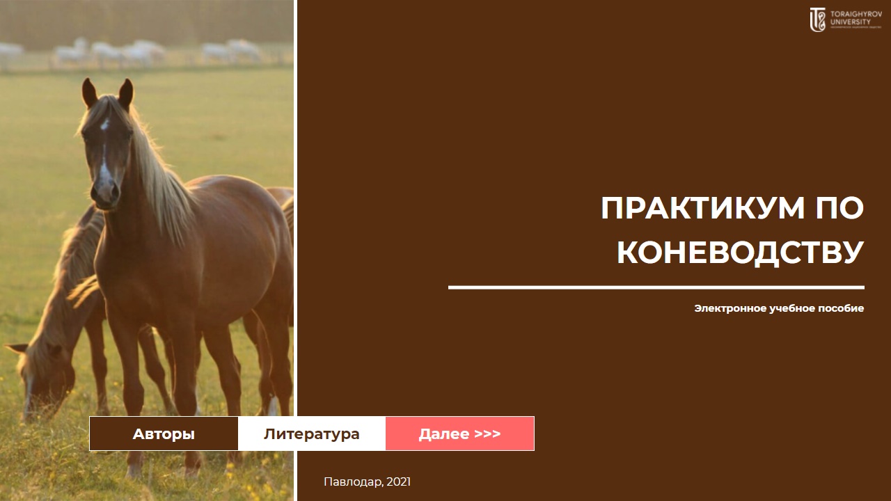 Практикум по коневодству