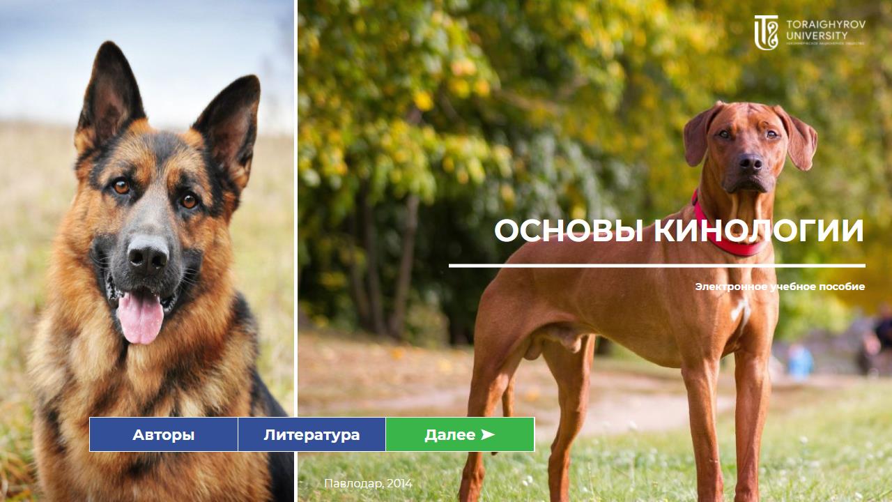 Основы кинологии