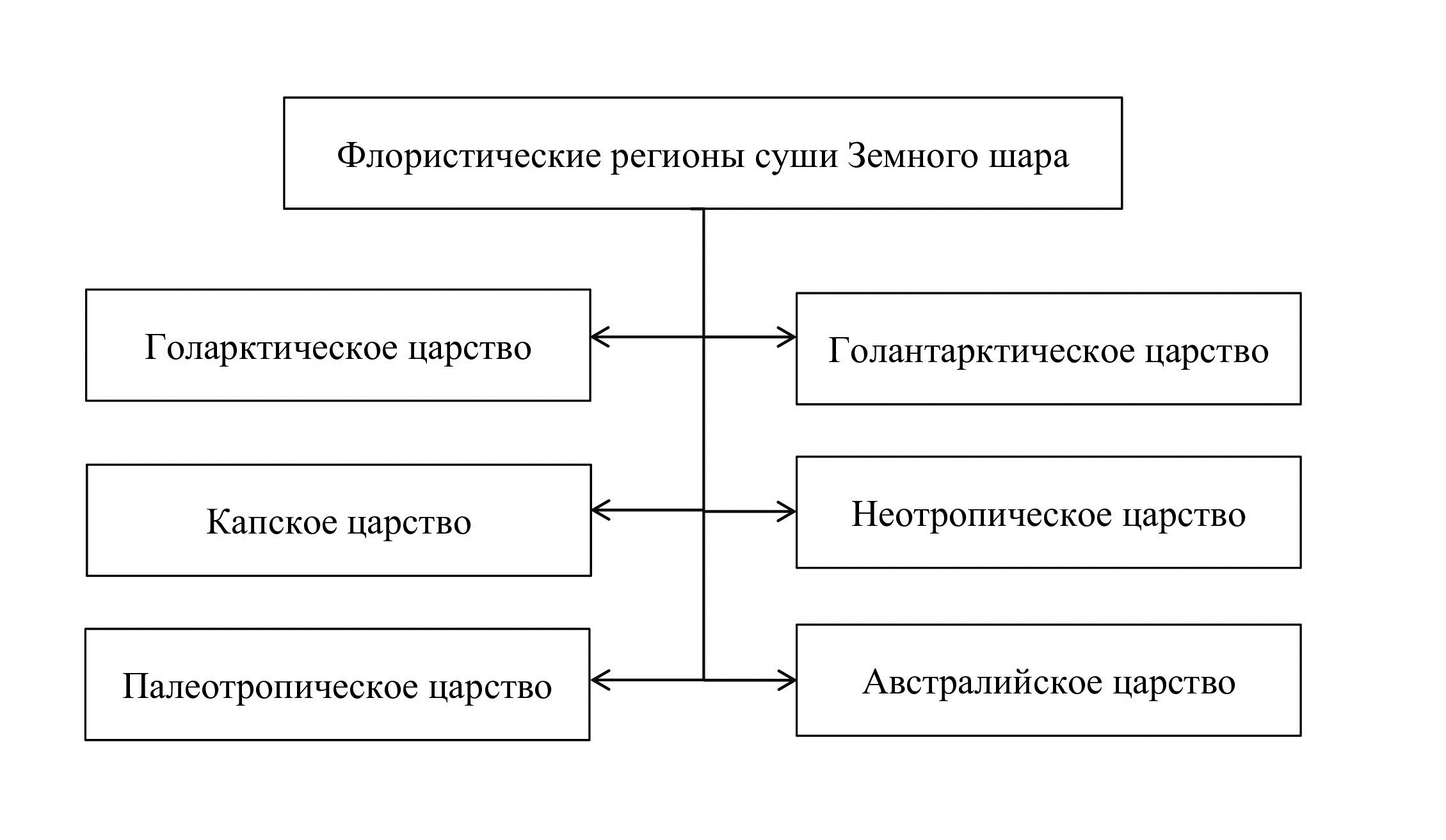 Рисунок 5 – Классификация флористических регионов суши Земного шара (по Тахтаджяну, 1978)