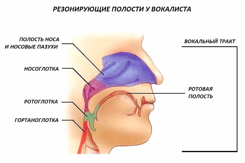Анатомия резонаторов