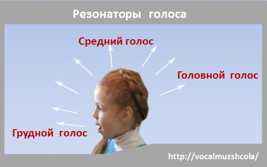 Резонаторы голоса