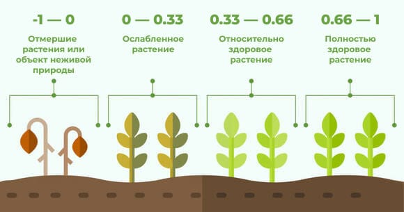 Иллюстрация из учебника