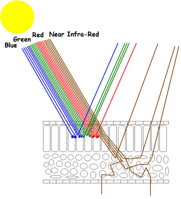 Textbook illustration